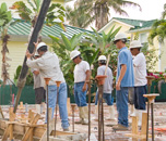 The NEB Team at Work